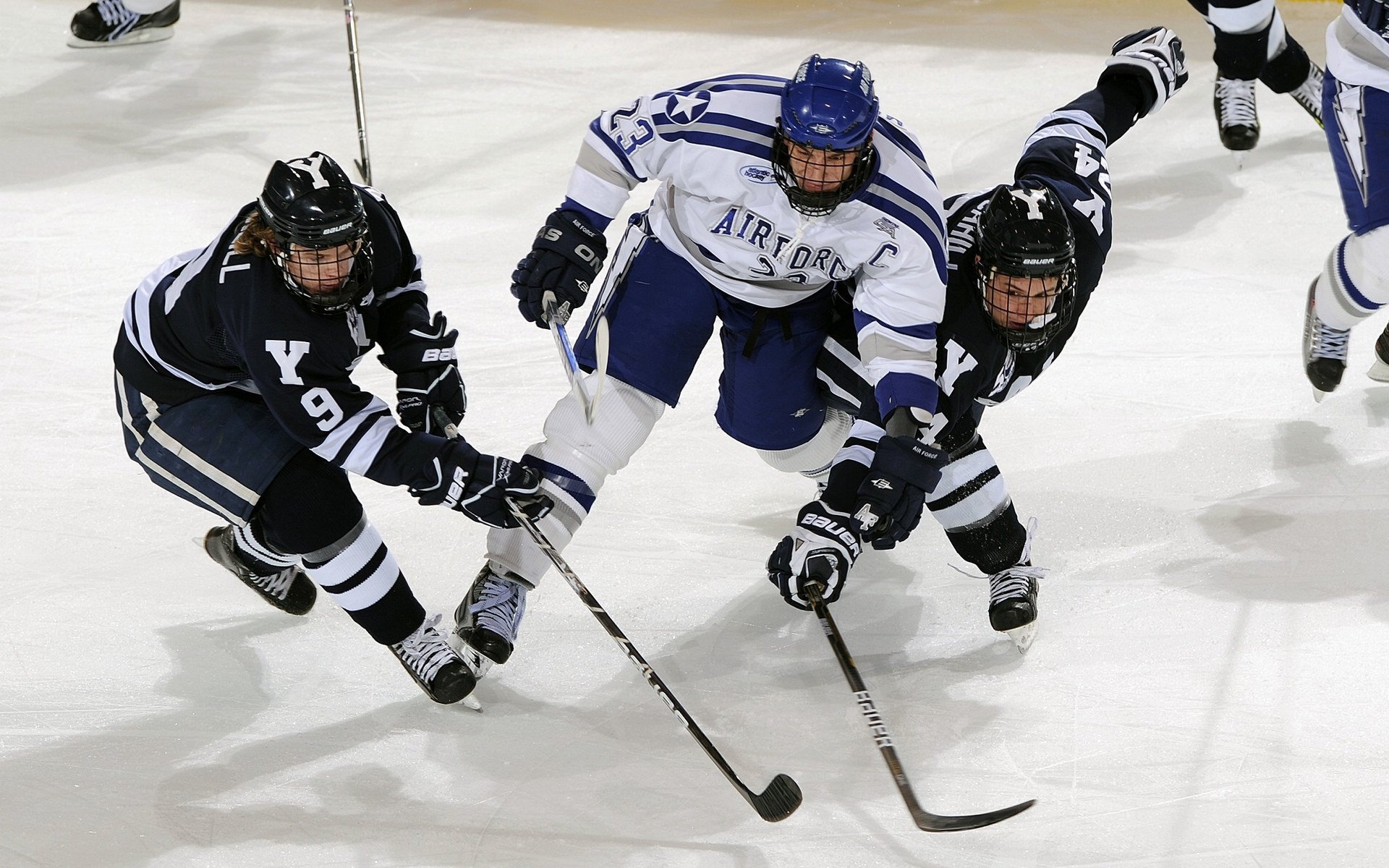 字母哥关键三分雄鹿晋级季后赛，雄鹿字母哥续约